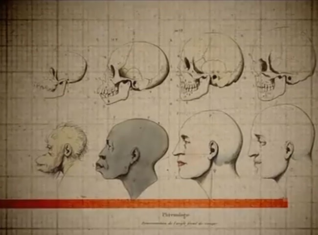 au-nom-de-la-race-et-de-la-science